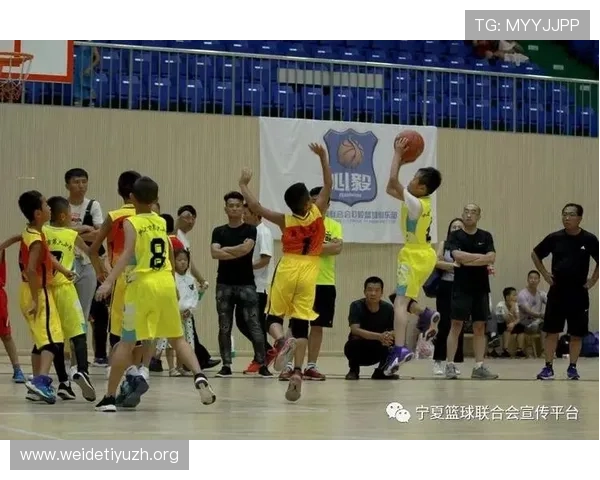 篮球球迷协会在赛事支持与粉丝互动中的关键作用解析